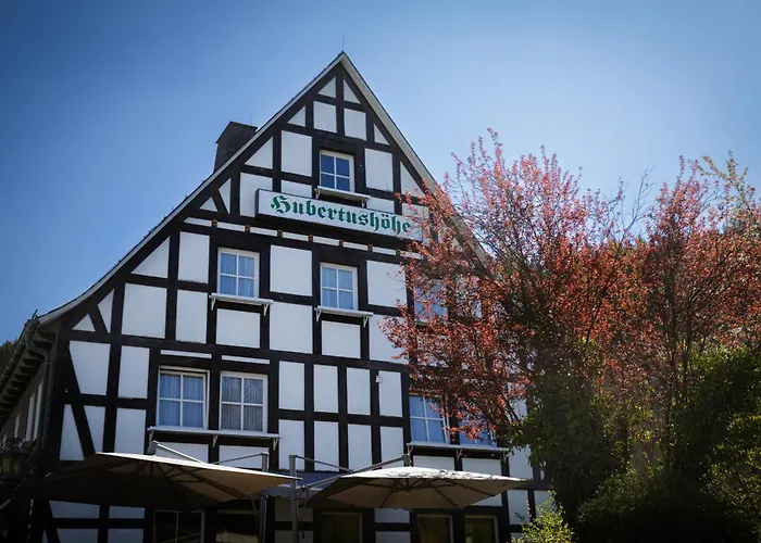 Hotel & Gasthof Hubertushoehe - Ihr Hotel Fuer Urlaub Mit Hund