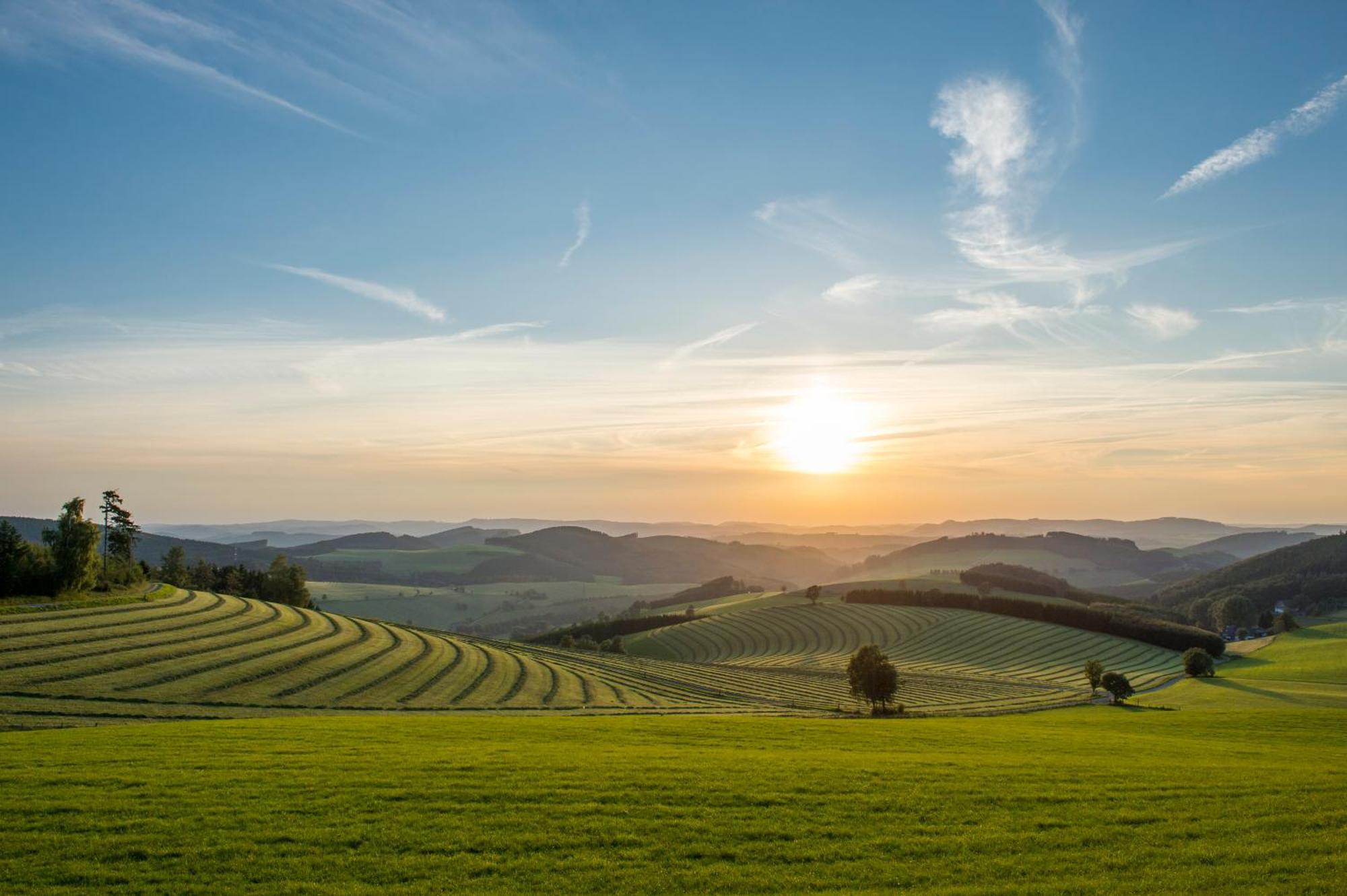 Hotel&gasthof Hubertushöhe - Ihr Für Urlaub Mit Hund Hotel Schmallenberg