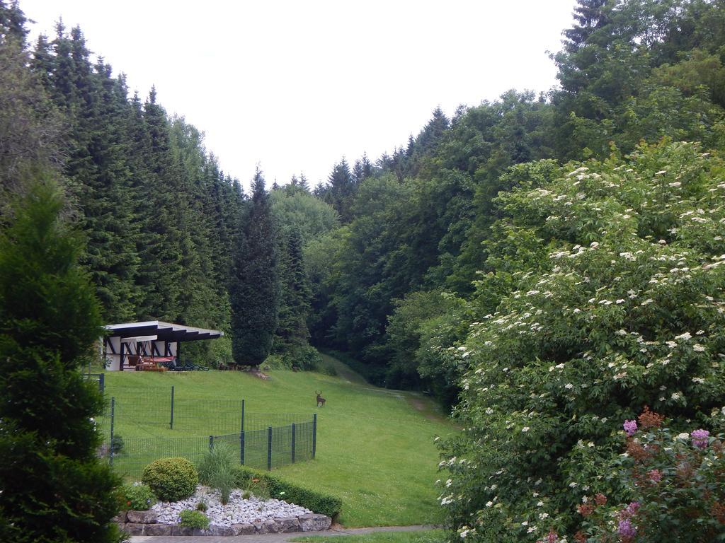 Hotel&gasthof Hubertushöhe - Ihr Für Urlaub Mit Hund Schmallenberg