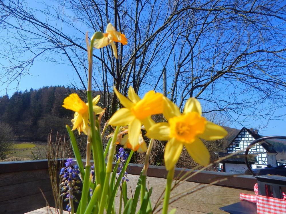 Hotel&gasthof Hubertushöhe - Ihr Für Urlaub Mit Hund
