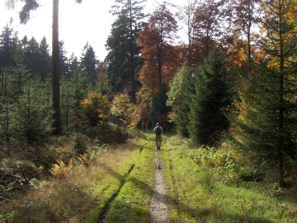 Hotel Hotel&gasthof Hubertushöhe - Ihr Für Urlaub Mit Hund Schmallenberg